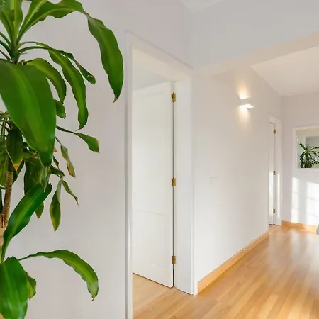 Nahia Apartment *